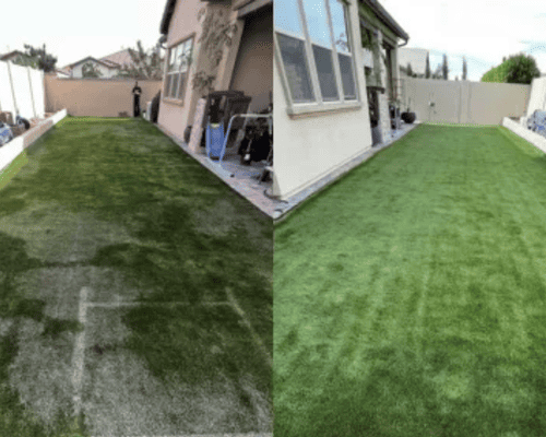 DIY vs. Professional Putting Green Maintenance