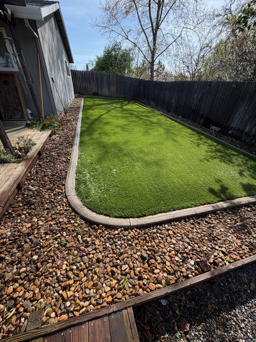 Choosing Artificial Turf for Dogs: What Matters Most